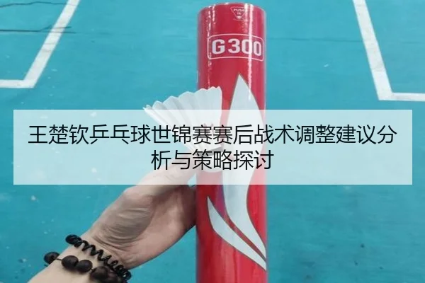 王楚钦乒乓球世锦赛赛后战术调整建议分析与策略探讨